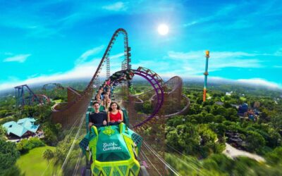 The most exciting new thrill rides coming in 2021